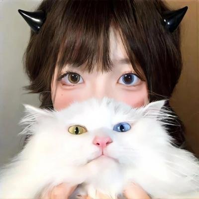 猫忍